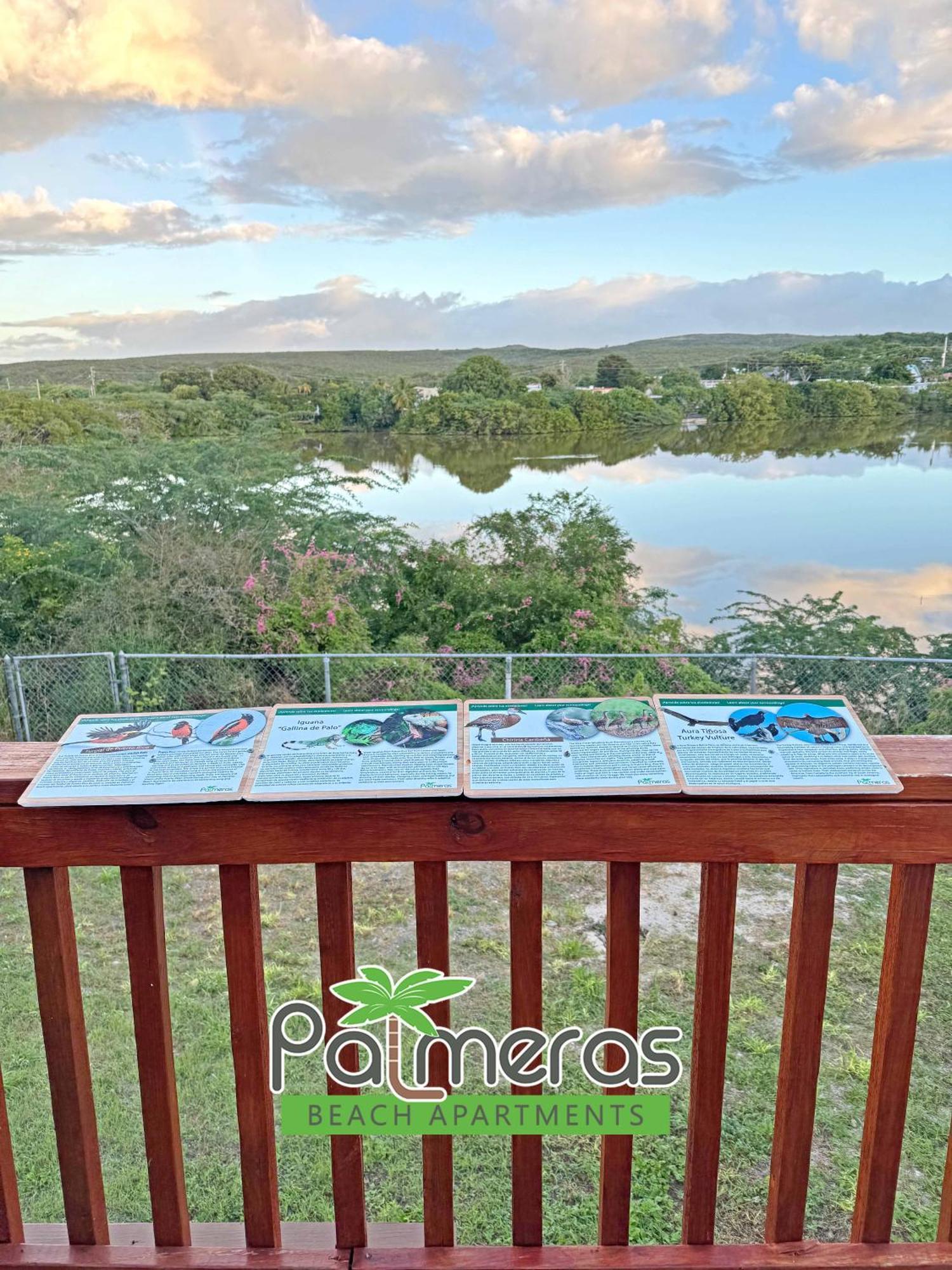 Palmeras Beach Apartments - Playa Santa Guanica Δωμάτιο φωτογραφία
